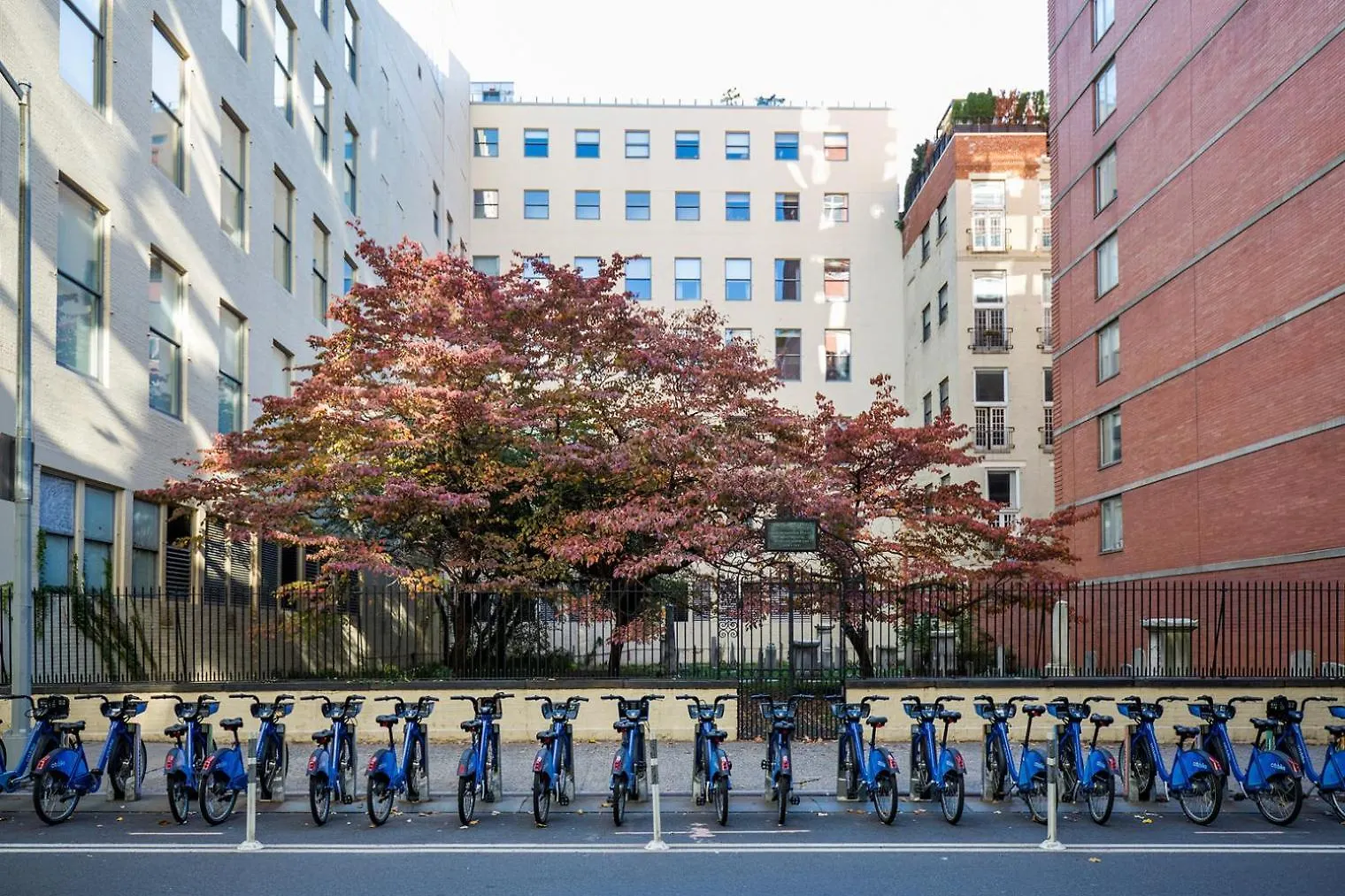 Apartmán Blueground Chelsea Ac Gym Bbq Nr High Line Nyc-1652 New York 0*,  USA